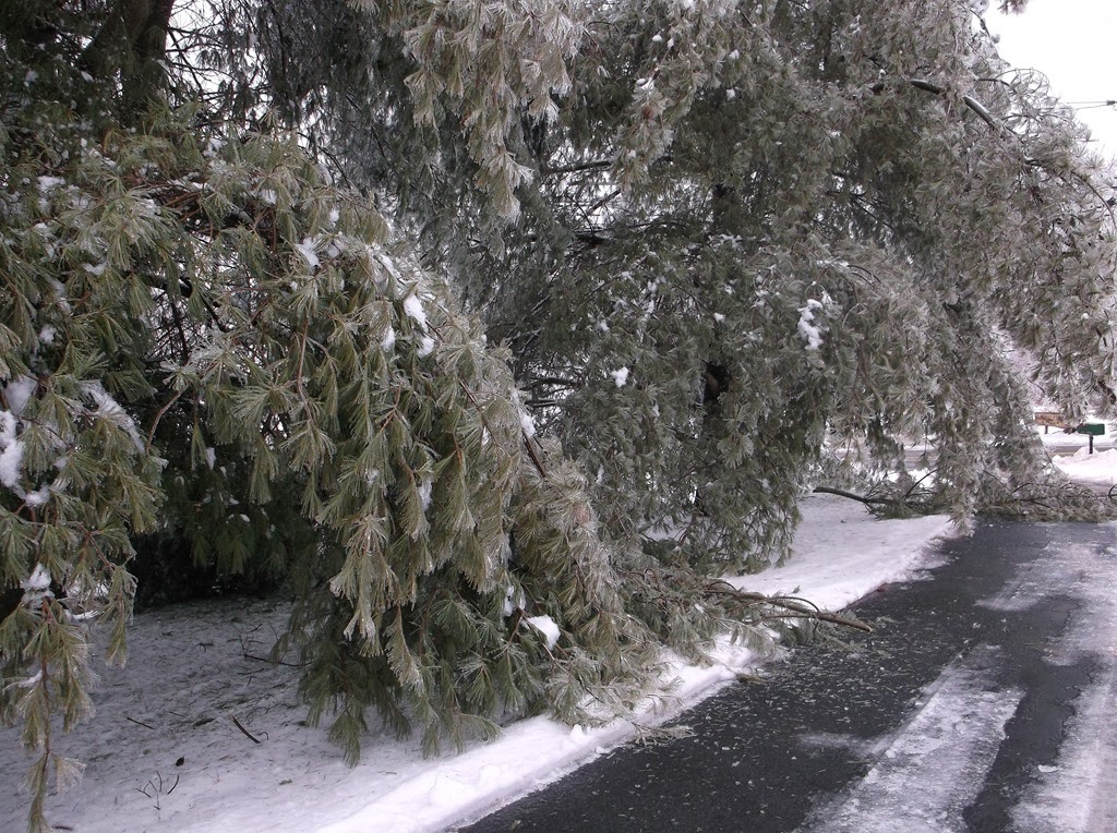 [DSCF5799%255B4%255D.jpg]