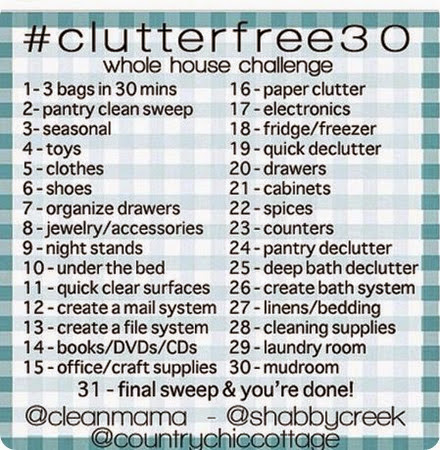 CLUTTERFREE30