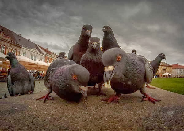 Imagens engraçadas e curiosas 25 Imagens engraçadas e curiosas 25