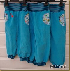 SAM_1302 SAM_1302