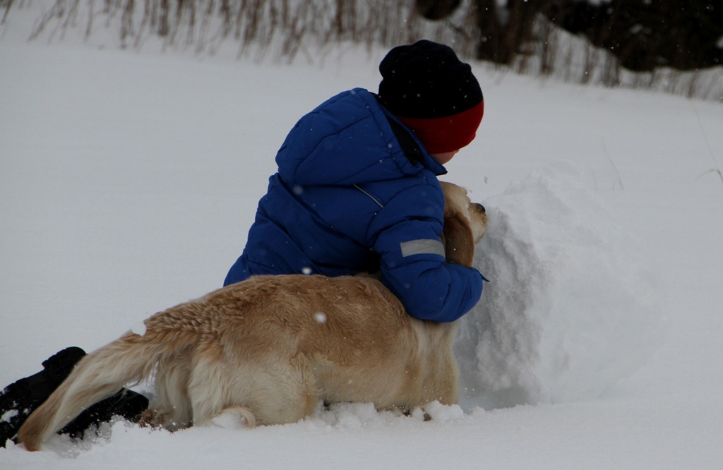 [IMG_0801%255B5%255D.jpg]
