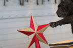 I think that's where this amazing tree topper star should go.  This also comes with the set.