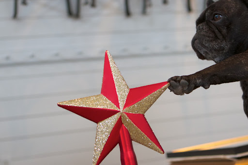 I think that's where this amazing tree topper star should go.  This also comes with the set.