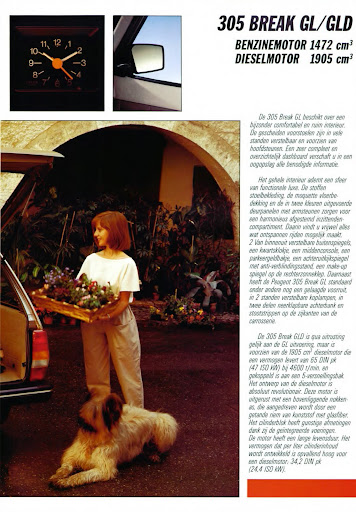 Peugeot_305_Break_1986 (7).jpg