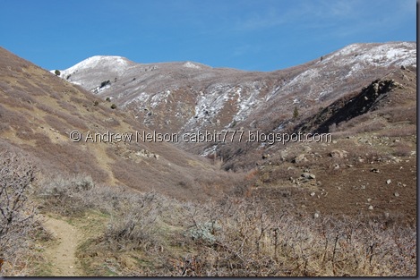 DSC_0994 DSC_0994