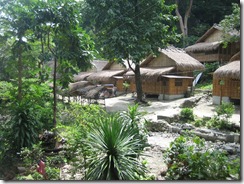 IMG_6252 IMG_6252