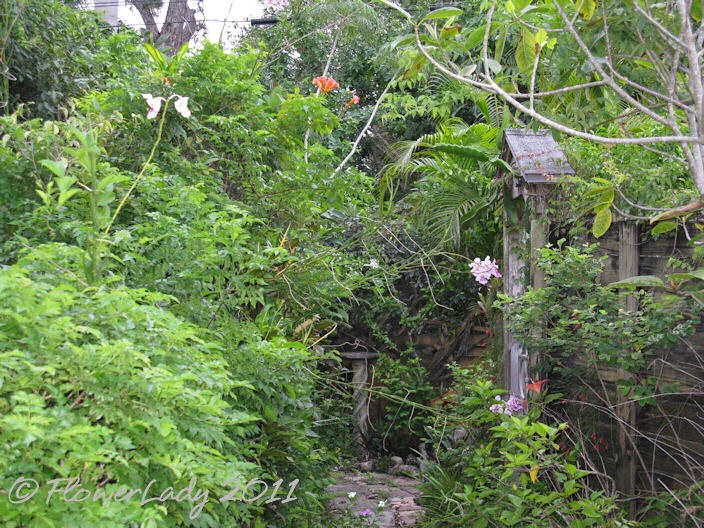 [08-26-front-path%255B3%255D.jpg]