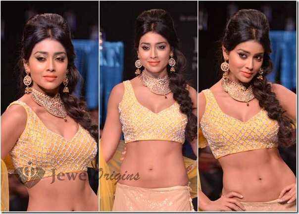 IIJW_2013