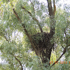 DSCN9678.JPG