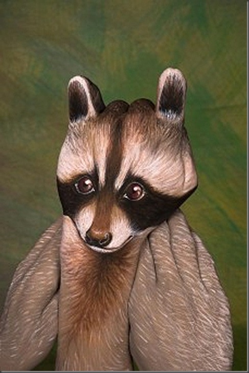 Racoon-mail-227x340