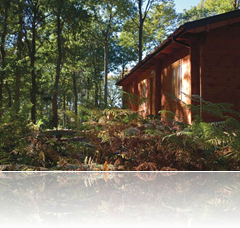 Self Catering Log Cabins in Shropshire