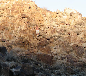 Bob trying to blend into the rock.