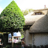 IMG_1998.JPG