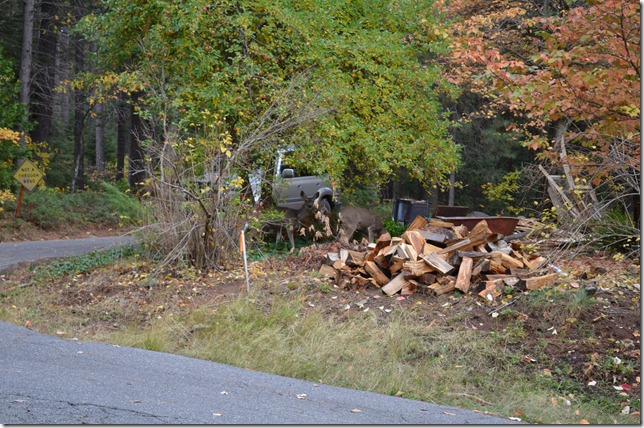DSC_0002 DSC_0002