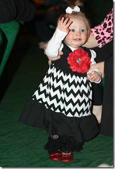 IMG_7536 IMG_7536