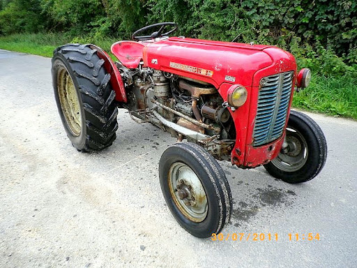 MF 35 Bj. 1959 Plantage