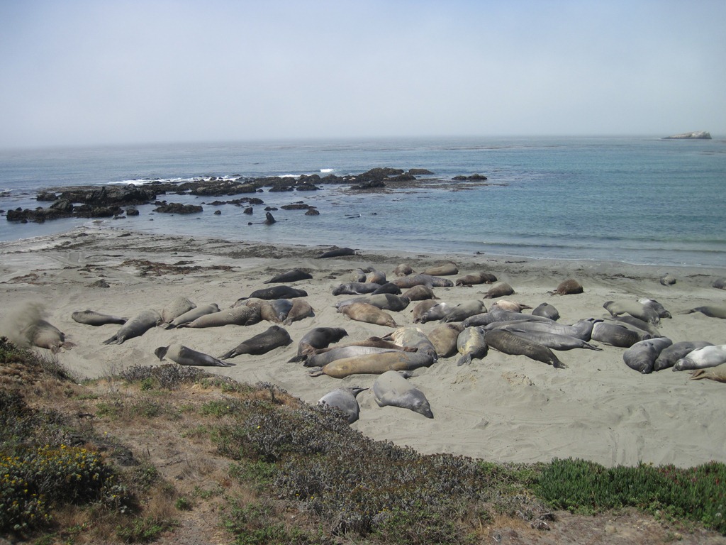 [IMG_0605%255B4%255D.jpg]