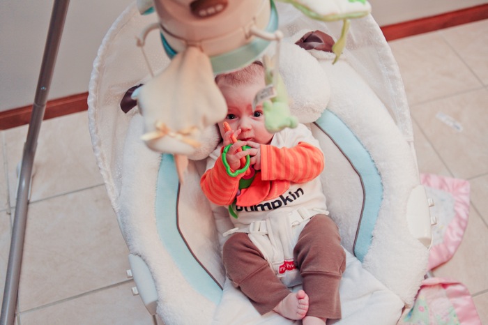 pumpkin-2.jpg Pumpkin 2