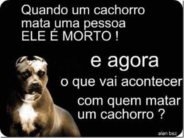 A mais pura verdade