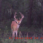 ICAM0008.JPG