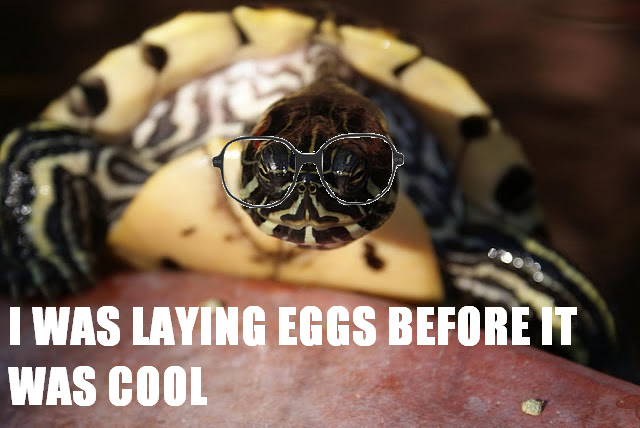 I was laying eggs before it was cool