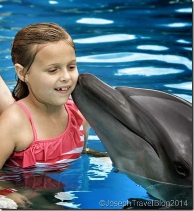 Vallarta Adventures Swim with the Dolphins