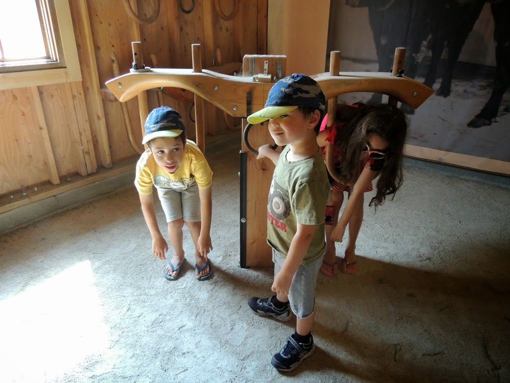 [DSCN9858%255B3%255D.jpg]