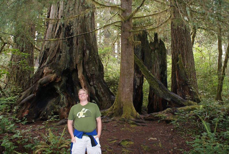 Redwood National Forest
