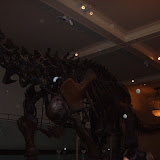 New York 2002 - American%252520Museum%252520of%252520Natural%252520History%2525202.jpg