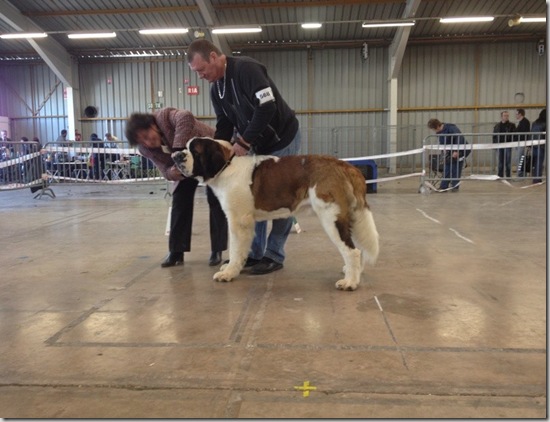 GIN CLASSE INTERMEDIAIRE BEZIERS 2012 (6)
