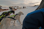 Tromsø Villmarkssenter auf Kvaløya