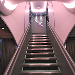 DSC05154.jpg