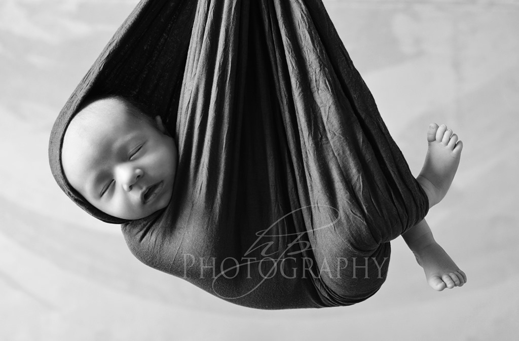 [HPP_4627bw5.jpg]