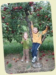[apple-picking_thumb31%255B2%255D.jpg]