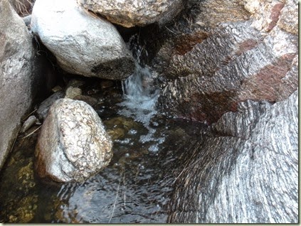 DSCN2378 DSCN2378