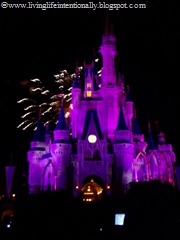 [Disney%2520Vacation%25202009%2520428%255B8%255D.jpg]