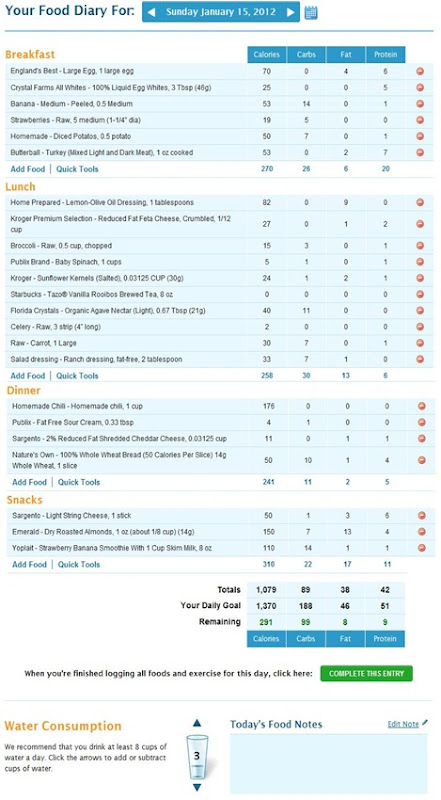 Food Diary