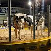 superleite2011_dia1507_219.JPG