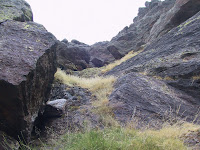 IMG_5524.JPG Photo