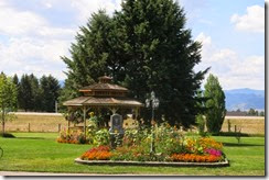 IMG_1264 IMG_1264