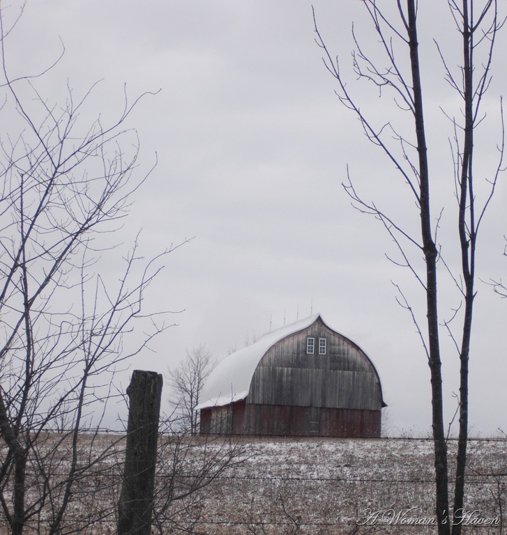 [050%255B3%255D.jpg]