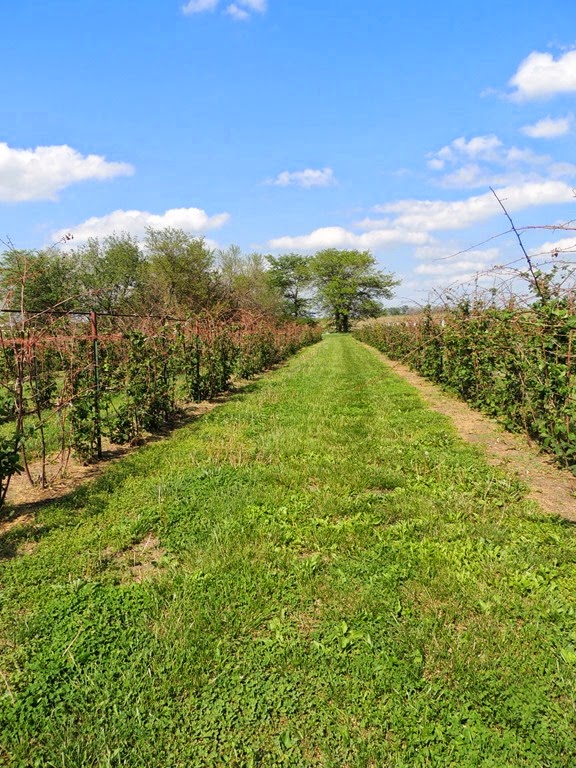 [DSCN9035%255B4%255D.jpg]