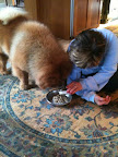 Gerry is an excellent hostess. She definitely knows a thing or two about chow chows, as she co-owns my father, Maddox, with Karen Tracy. Gerry is an excellent hostess. She definitely knows a thing or two about chow chows, as she co-owns my father, Maddox, with Karen Tracy.
