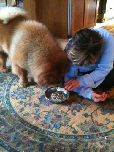 Gerry is an excellent hostess. She definitely knows a thing or two about chow chows, as she co-owns my father, Maddox, with Karen Tracy. Gerry is an excellent hostess. She definitely knows a thing or two about chow chows, as she co-owns my father, Maddox, with Karen Tracy.