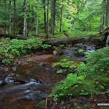 Small Creek in the Porcupine Mountains / Taken just after a nice rain / Porcupine Mountains State Park / Upper Michigan