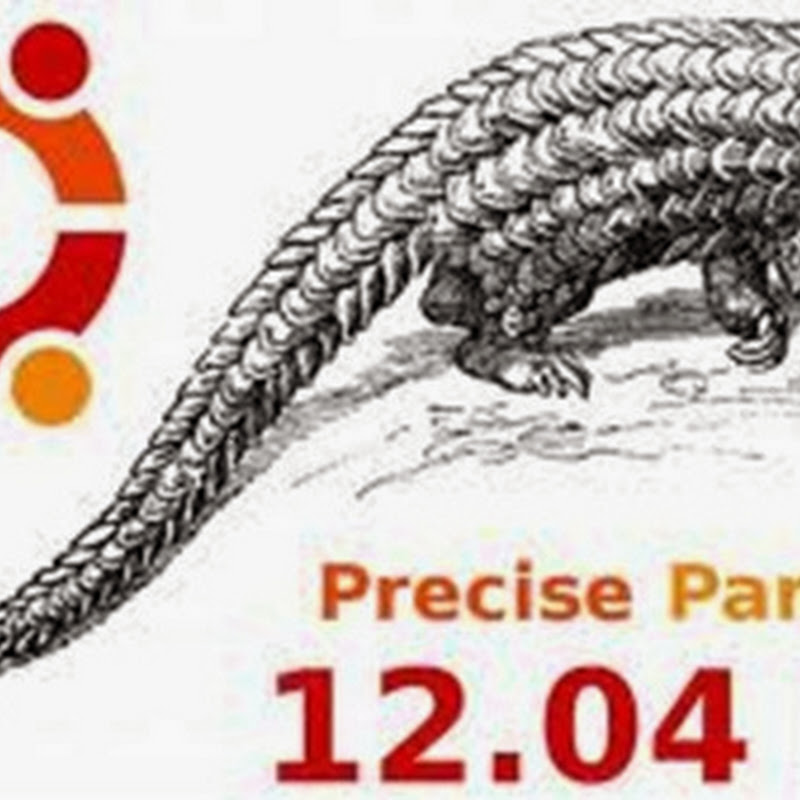 Dopo il successo di Ubuntu 12.04 “Precise Pangolin” Canonical punta a nuove versioni di rilascio.