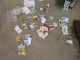 Some of our winter seeds
