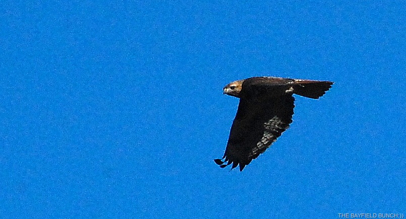 [DSC_839311.jpg]