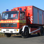 WLF_6.jpg