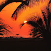 #060-Coucher de soleil sur la Casamance.JPG